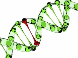 1953 Dna Large